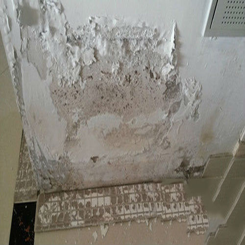 墙体发霉发潮掉墙皮怎么装修,墙皮发霉自己怎么处理