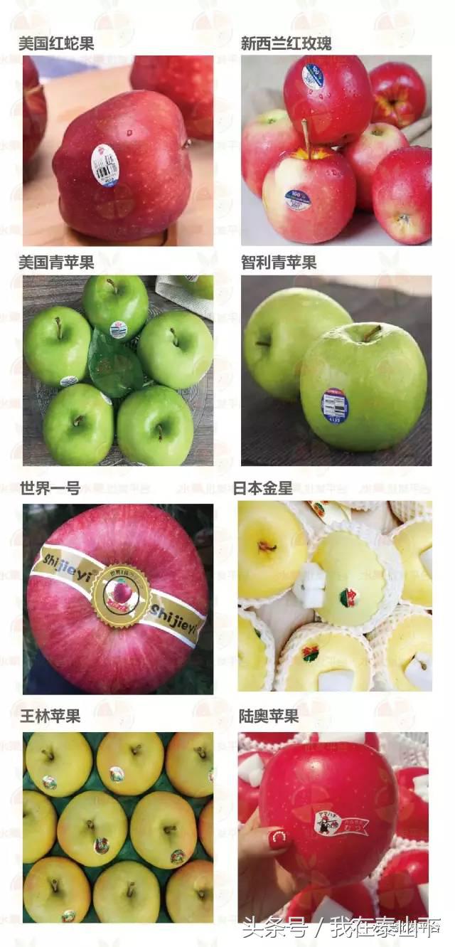 水果分类分为哪几类,超市水果分类表一览表