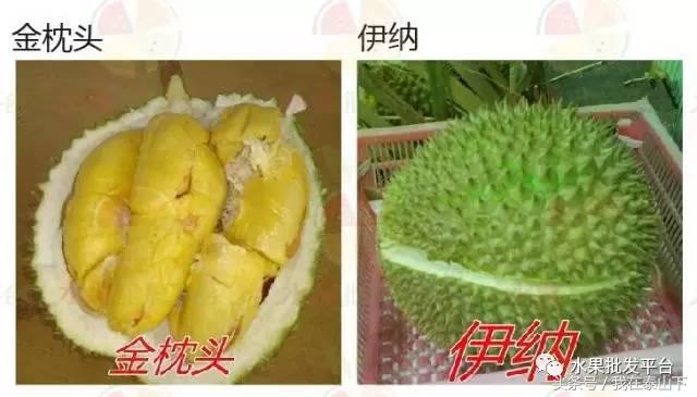 水果分类分为哪几类,超市水果分类表一览表