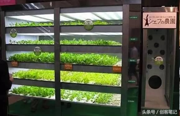 最火爆的自动售货机,新颖的无人自动售货机