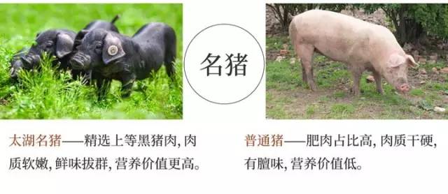 让金庸念念不忘的粽子，原来是这样的味道