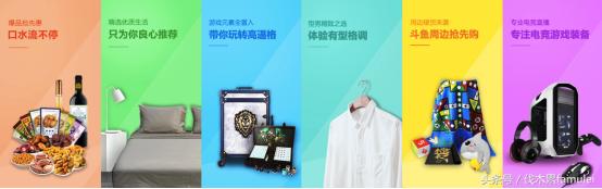 斗鱼电商怎么玩,斗鱼互联网创业史