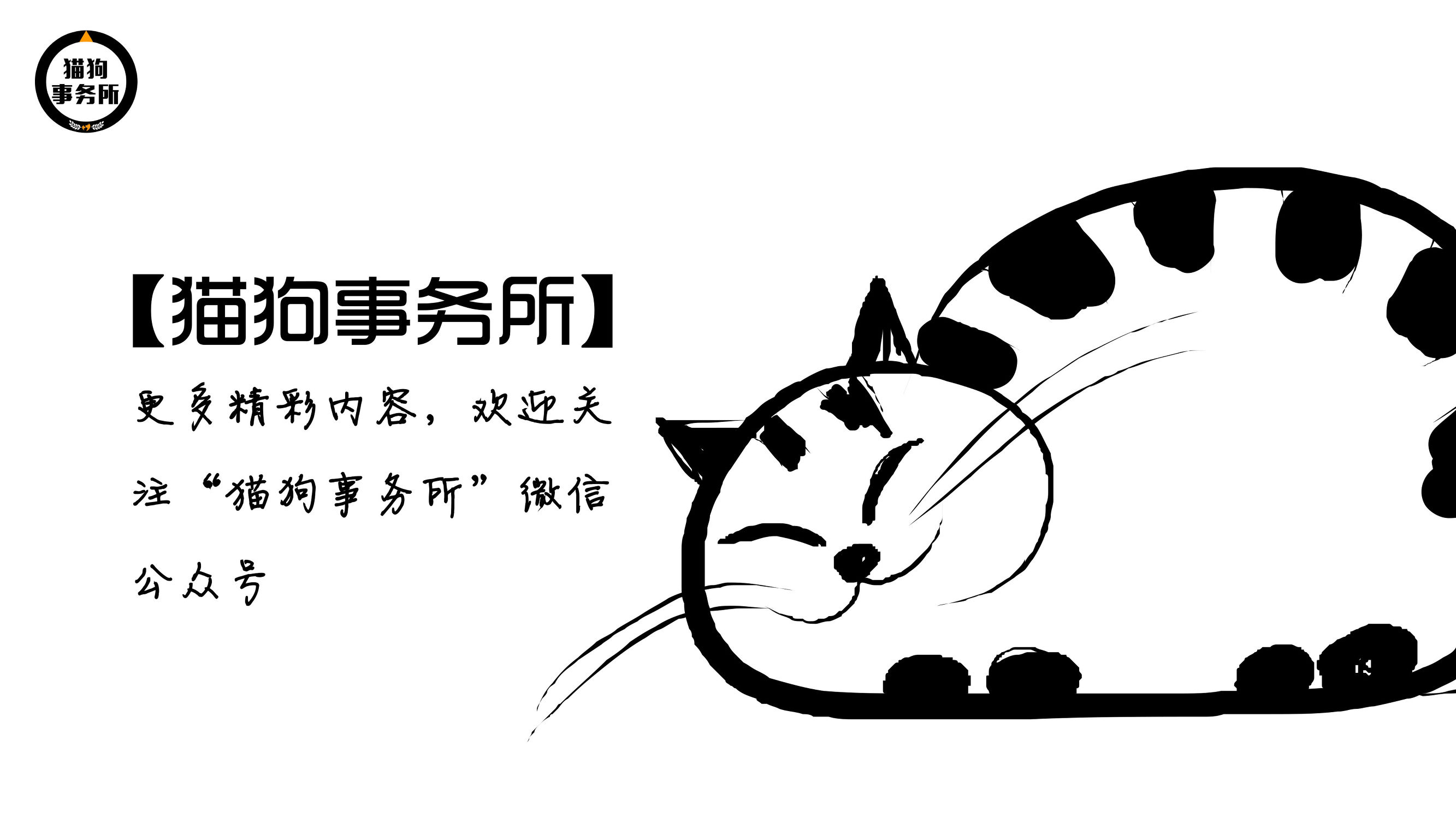 为什么猫被视为辟邪与招财,猫自卫能力
