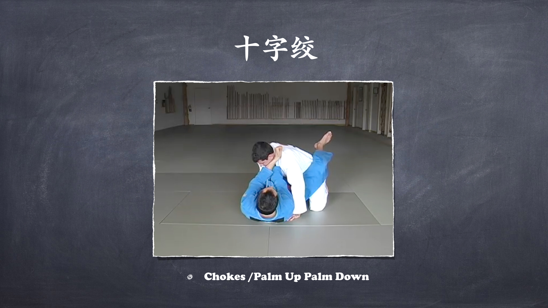 RoyDeans巴西柔术蓝带技术学习大纲