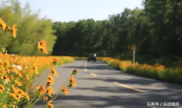 南京是一座很美的城市,南京最让人震撼的城市