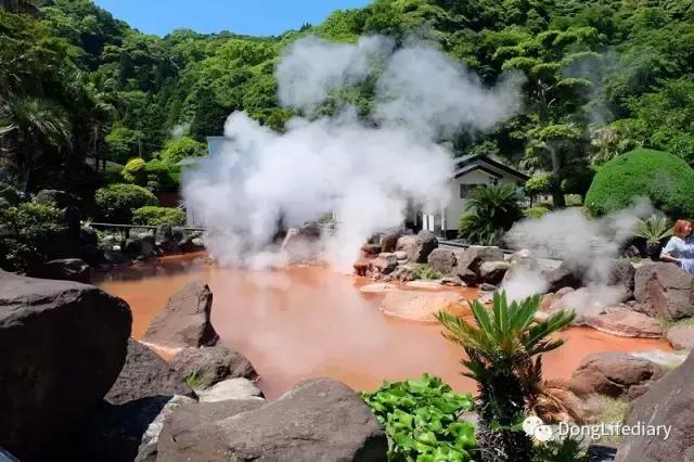 去日本北九州好吗,北九州看樱花