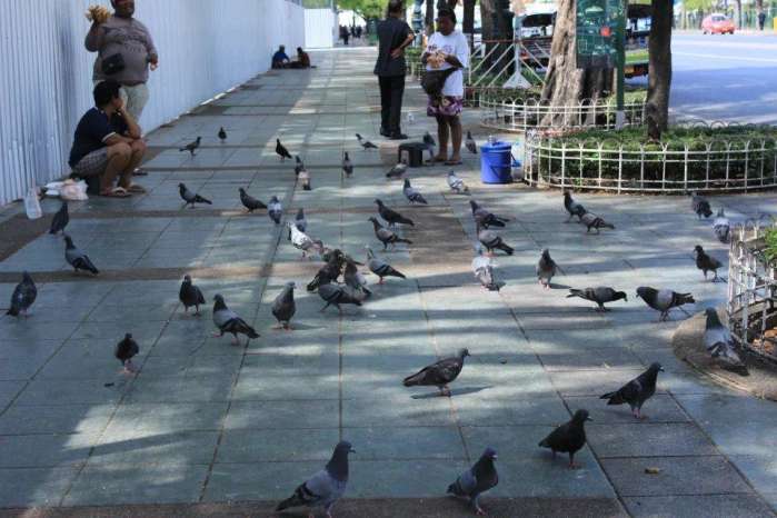 泰国自驾需要什么条件,中国自驾泰国攻略