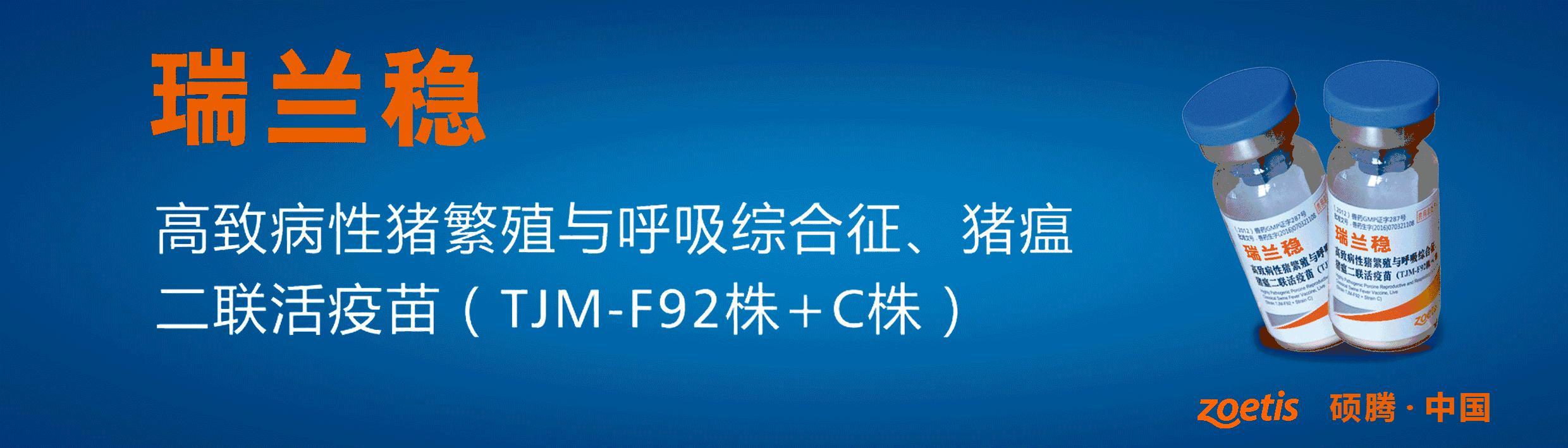 “瑞多康”+“瑞安欣”双剑合一：猪场扫除衣原体和弓形体的法宝