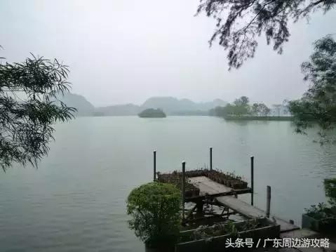 广东普罗旺斯花海,普罗旺斯的薰衣草紫色花海