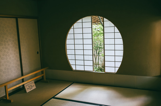 紫藤花开的季节去看锦鲤成了精，据说转发会有好运