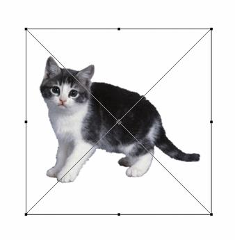 ps直接选择工具怎么变形,ps图片变形调整工具