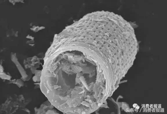 硅藻泥智商税,硅藻泥是智商税吗