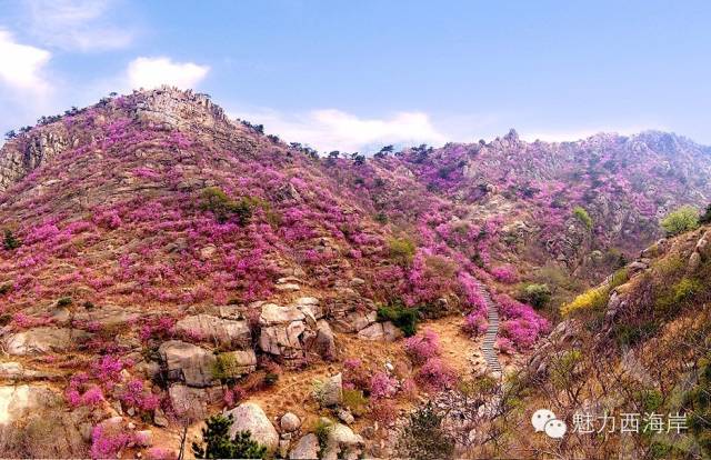 对不起，我要去黄岛了，别再找我了