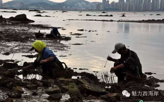 对不起，我要去黄岛了，别再找我了