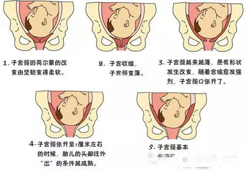 生娃前的几个步骤,快速生娃小技巧演练