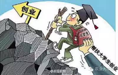 对大学生回乡创业有什么好的建议,大学生返乡创业热门话题