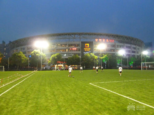 上海哪里有足球场草坪,上海足球场草坪哪家好