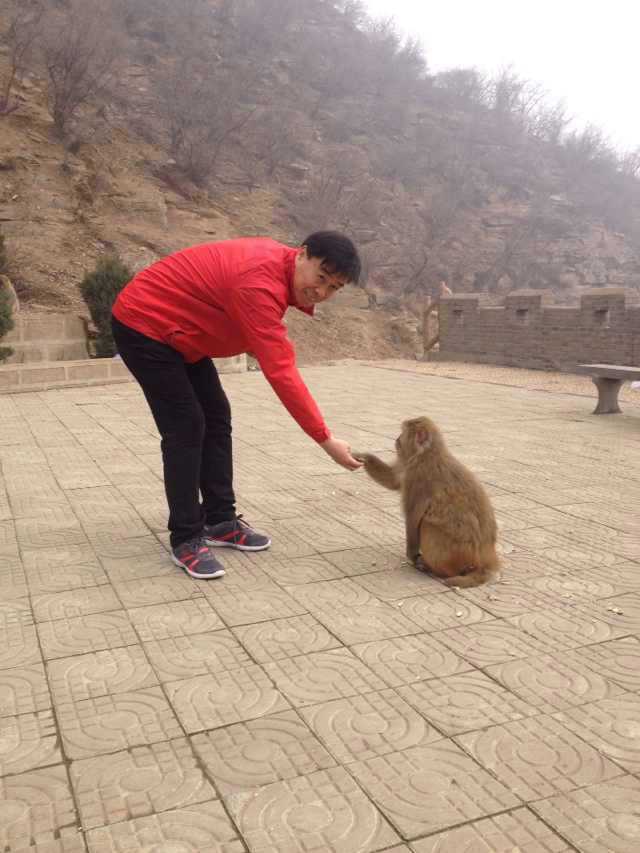建业射手球员,娄佳惠四次挡球