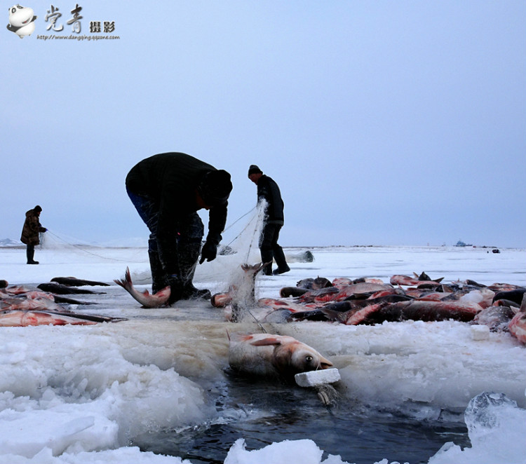 一个人眼中的成都,一个成都人眼中的四川