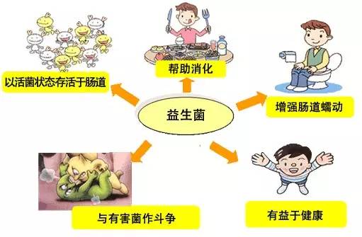 益生菌有什么营养,妇科益生菌到底有没有用啊