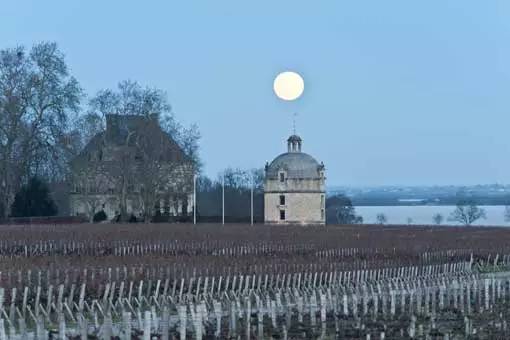 拉图酒庄名品介绍,波尔多私家酒庄介绍