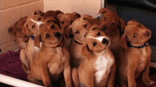 歪脖拯救世界,歪着脖子拯救地球图片