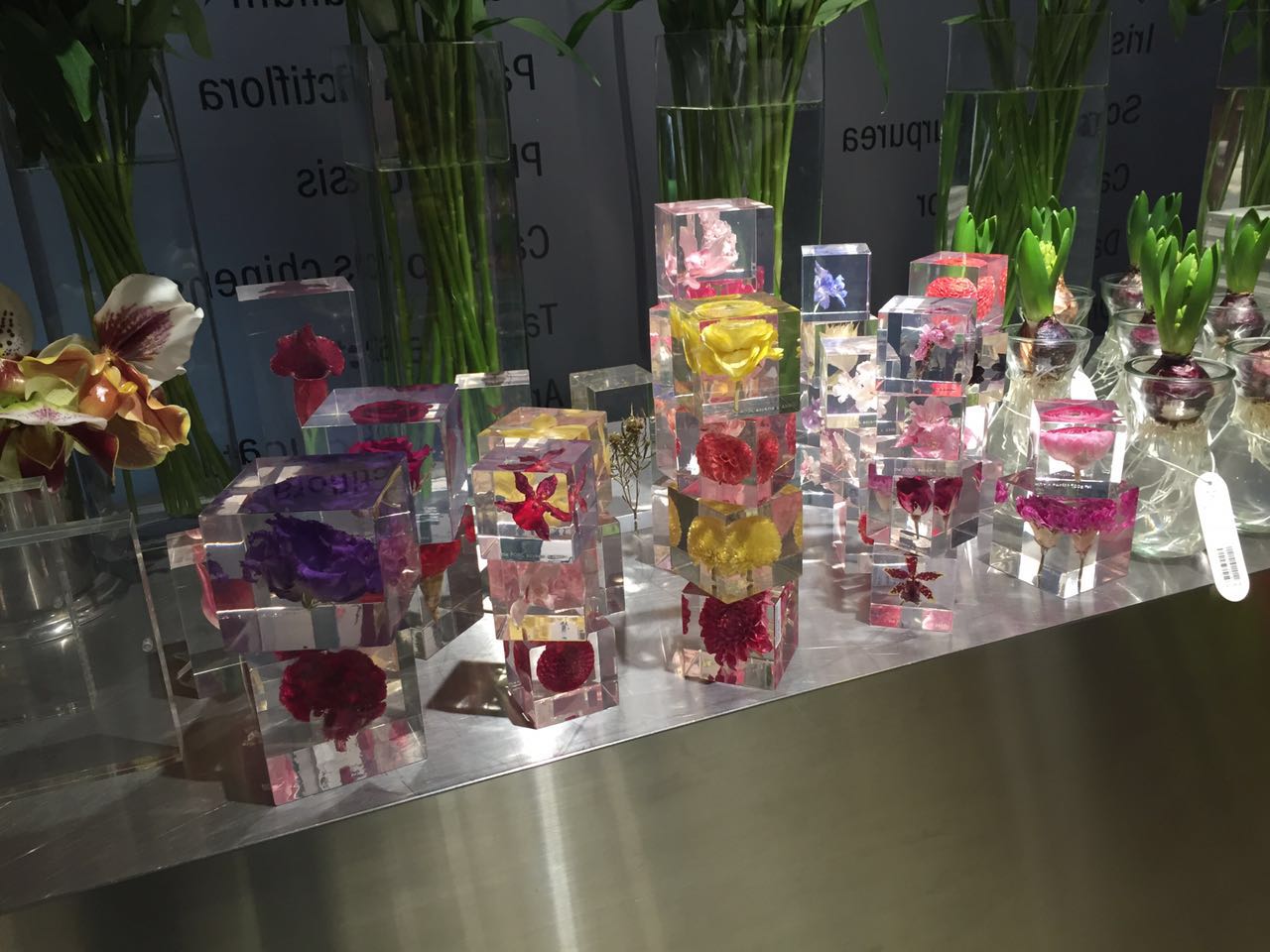 supreme18ss发售,东京实录电影