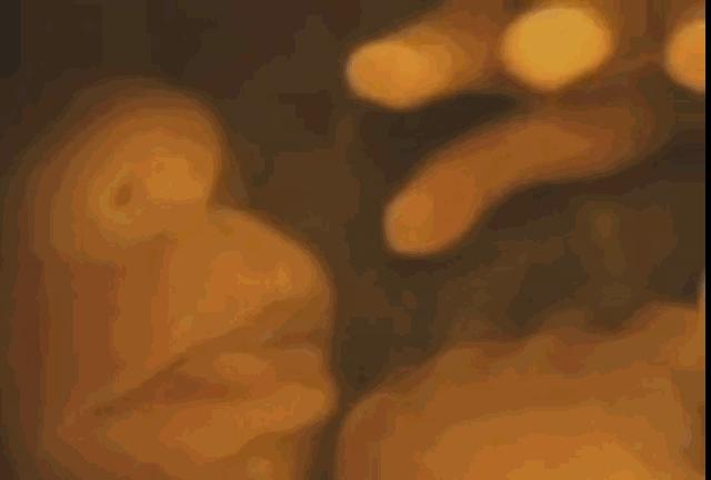 好孕2016！汤唯宣布怀孕啦！女神的小猴子是这样来的！