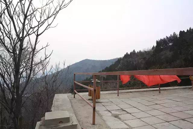 摄影师拍的照片为什么不清晰,为什么拍出来照片不真实