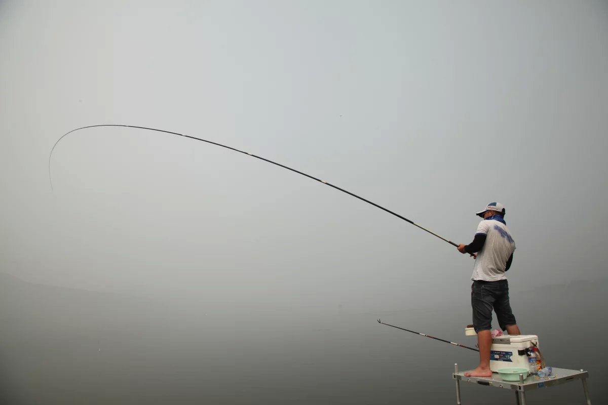 垂钓大师游戏钓鱼技巧,垂钓大师私家秘诀书