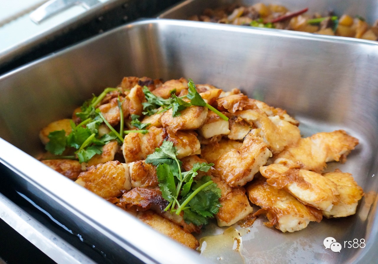 42鑻卞昂璞崕娓歌墖涔嬫梾,rs-88