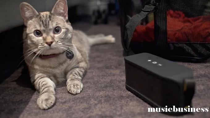 全球音乐平台哪个好,音乐众筹平台