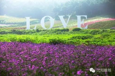 还有316天，沈阳人再不做这30件事就晚了！