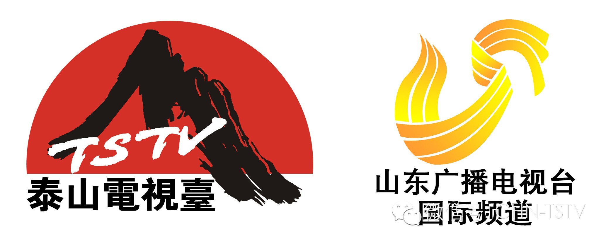 《新杏坛》强势登陆泰山电视台全球播出！