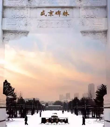 还有316天，沈阳人再不做这30件事就晚了！