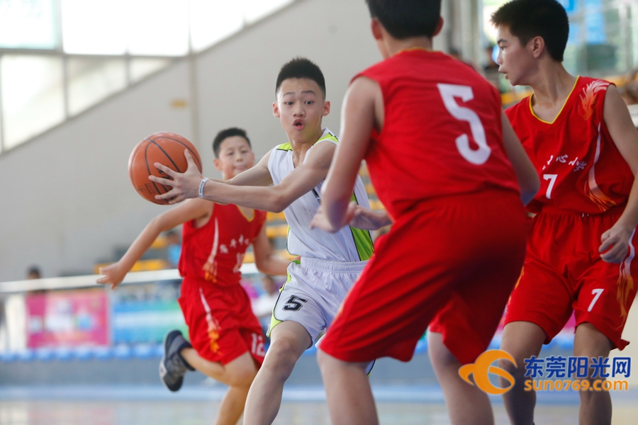 东莞市小学篮球赛2021,2020年东莞市小学篮球锦标赛