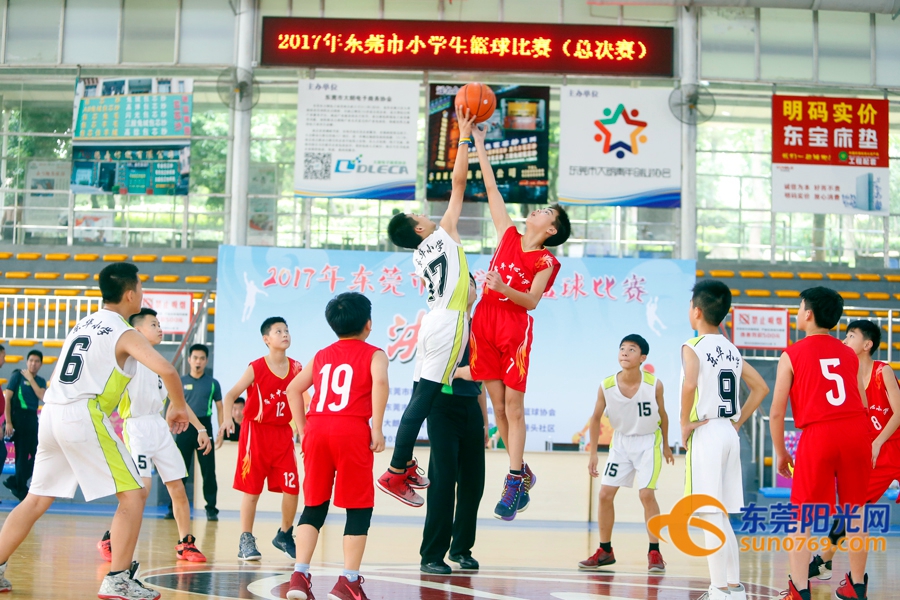 东莞市小学篮球赛2021,2020年东莞市小学篮球锦标赛