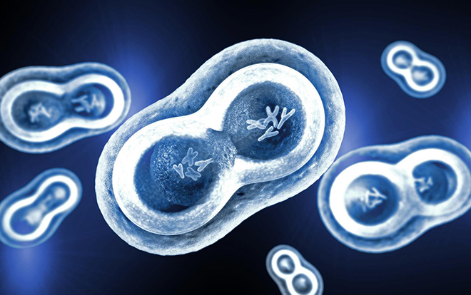 bioweekly,bioweek闄愰噺