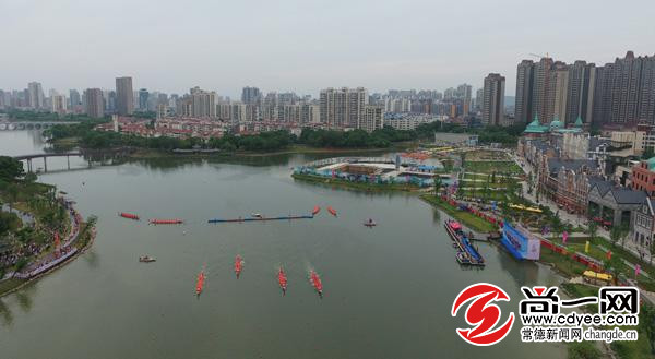 中塘河现场直播龙舟比赛,中德龙舟赛