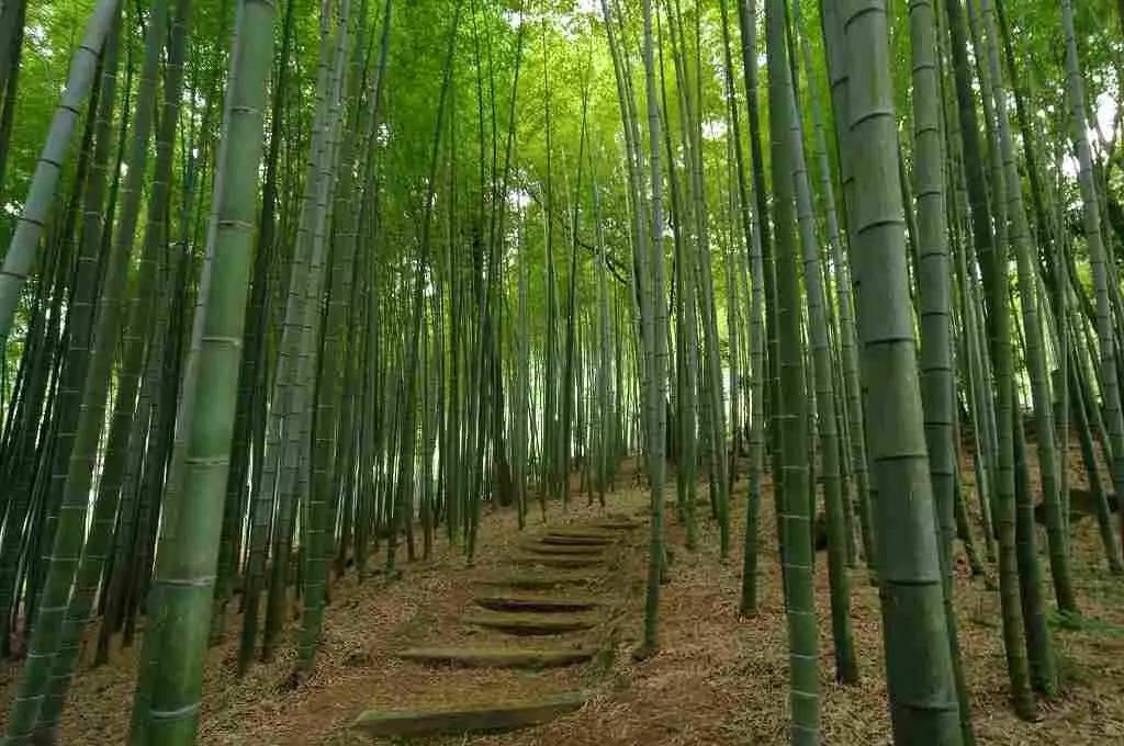 日本100个顶级美景,日本十大绝美城市