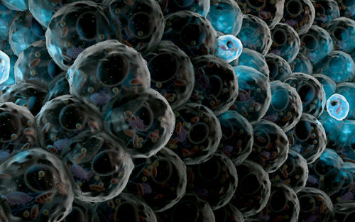 bioweekly,bioweek闄愰噺