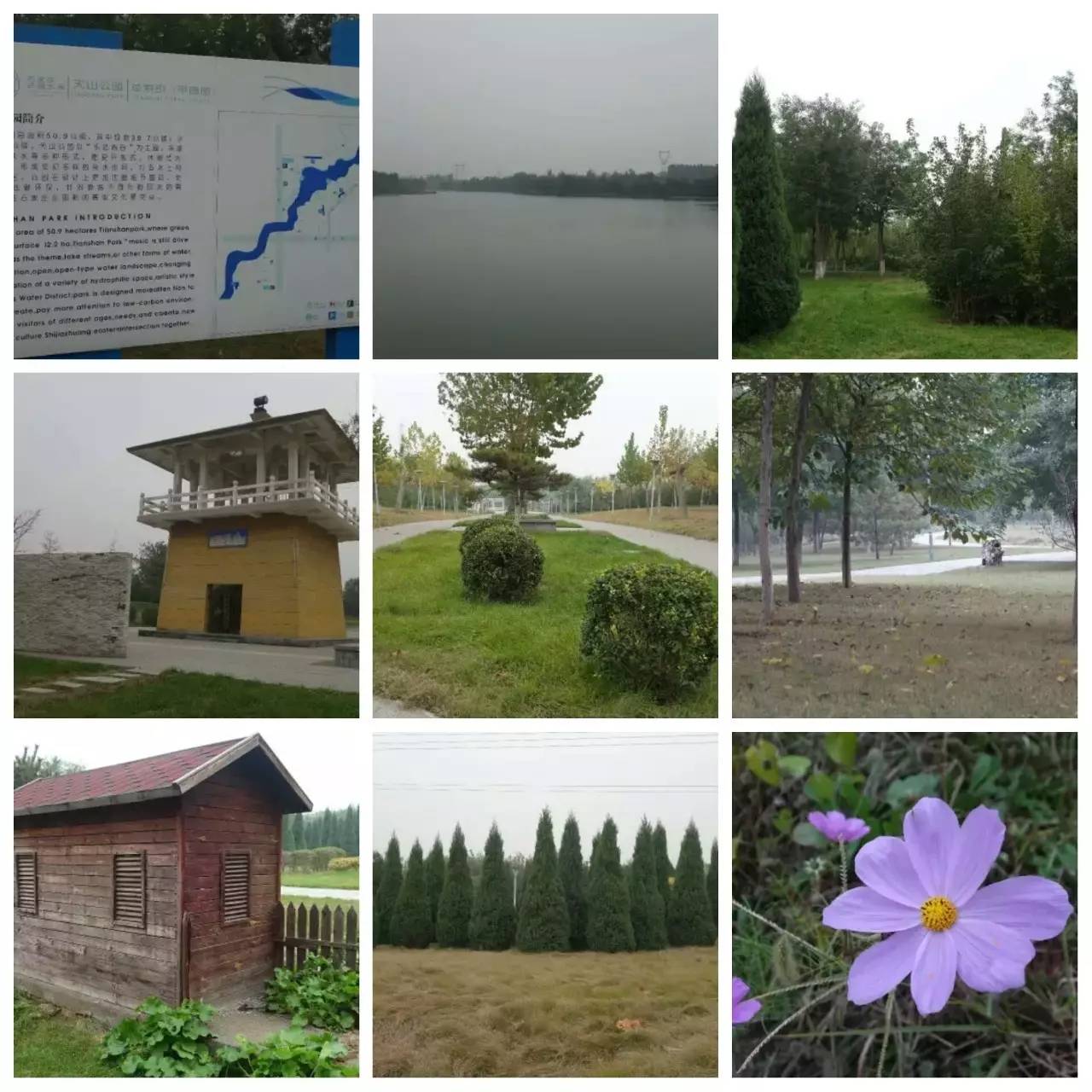 我用30万步，走遍石家庄公园