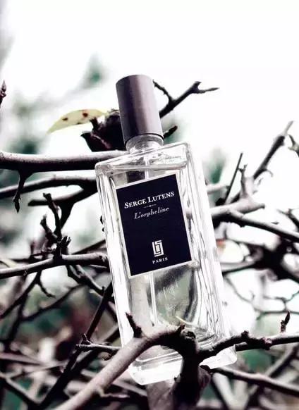 直男送的20件礼品,直男送的520礼物有多可怕