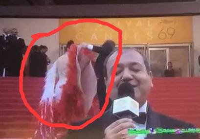 戛纳去了多少中国明星,戛纳中国明星都有谁