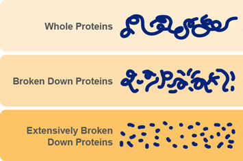 healp治愈帮l婴儿食物过敏饮食方案