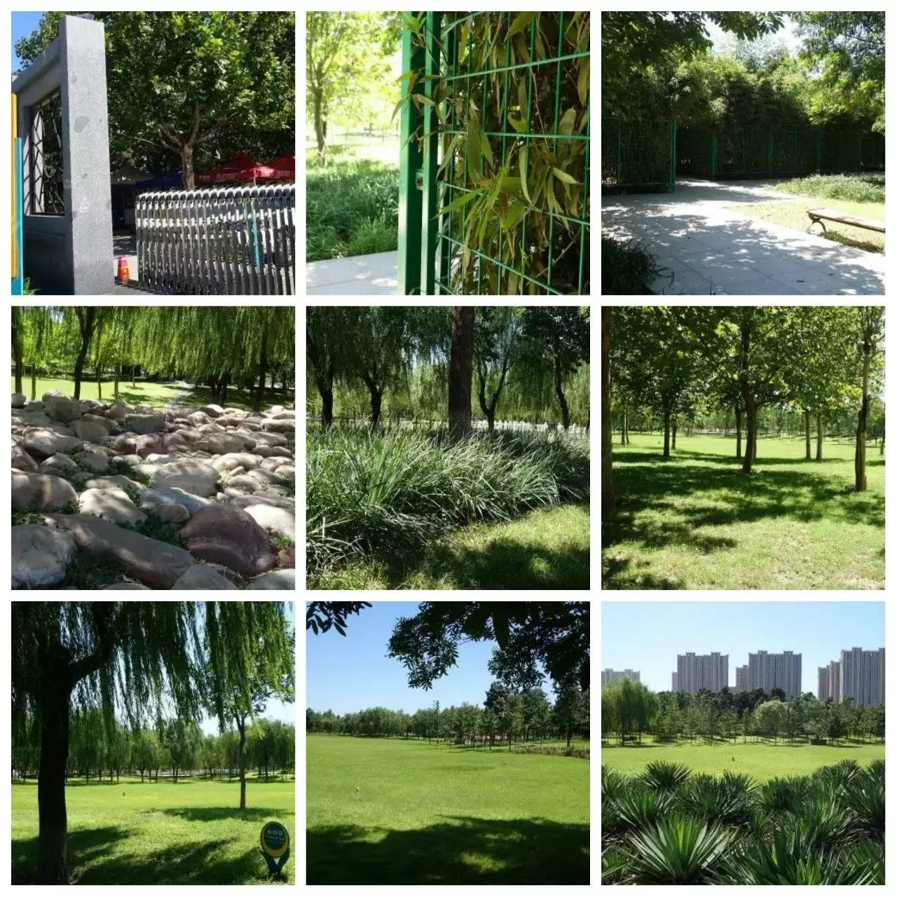 我用30万步，走遍石家庄公园