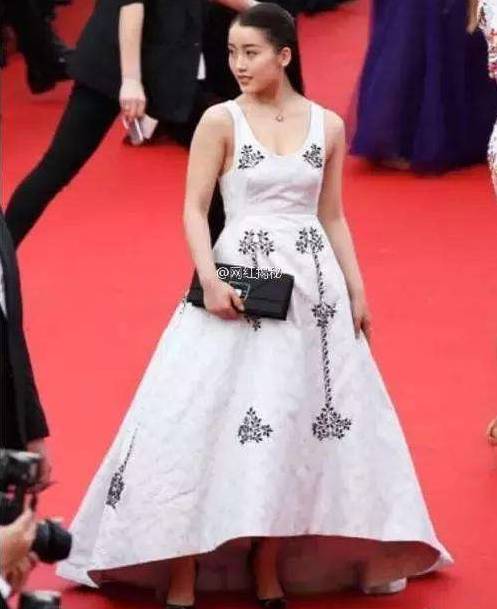 戛纳去了多少中国明星,戛纳中国明星都有谁