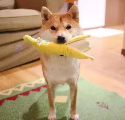 这就是别人家的员工餐视频,这就是别人家的爸爸原版视频