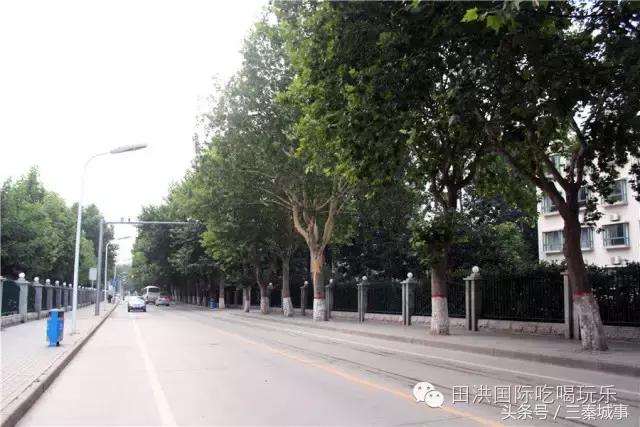 西安最好看灞桥风景,西安灞桥美丽的风景线