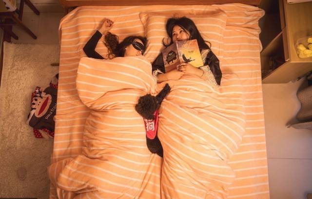 共享家庭新成员的欢乐,共享家族再添一员共享衣橱成新宠